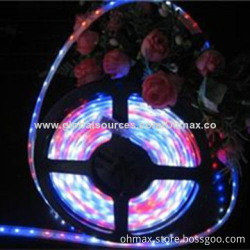 IP67 LED Grow Light, Dimmable & Flexible Strip for Small Plants/5m/Roll for Horticulture/Bonsai